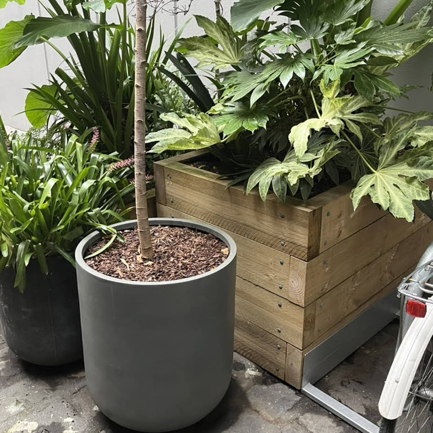 Raised Garden Beds