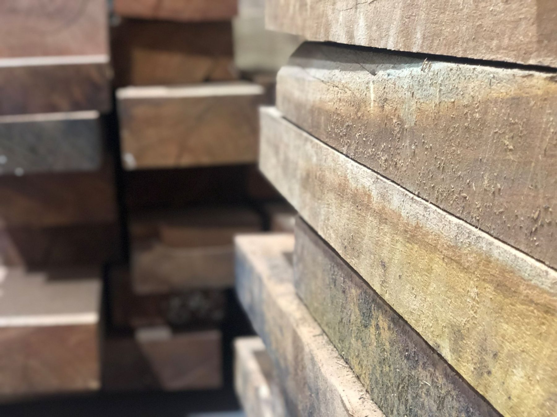 Timber vs Wood: What the Difference Actually Means