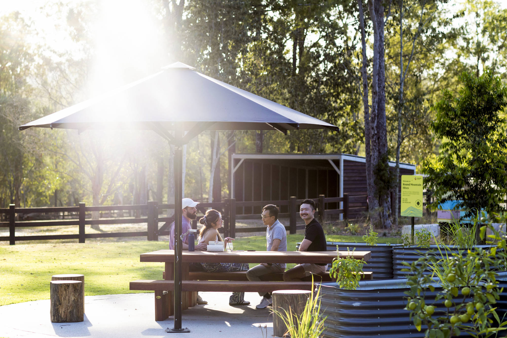 Iron King - Table Setting Outdoor Dining Sets - handcrafted Australian timber outdoor furniture, view 5