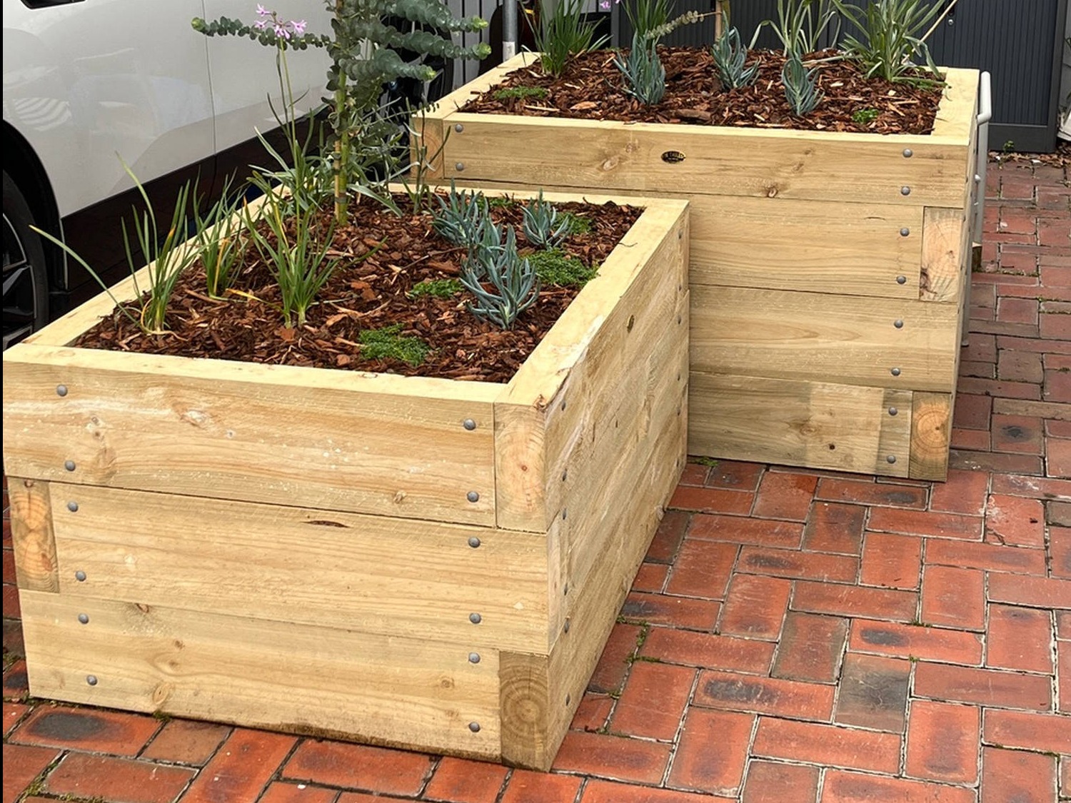 Gro Module Pine Raised Garden Beds - handcrafted Australian timber outdoor furniture, view 3