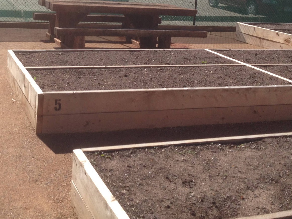 Gro Module Pine Raised Garden Beds - handcrafted Australian timber outdoor furniture, view 4
