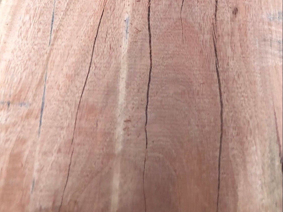 Natural seasoning checks in Australian ironbark