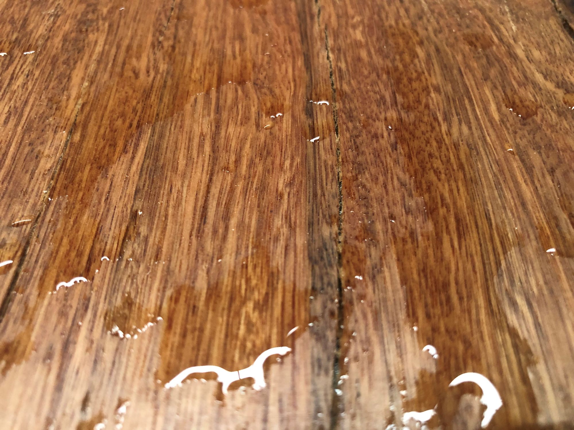 Water beading on freshly oiled hardwood surface